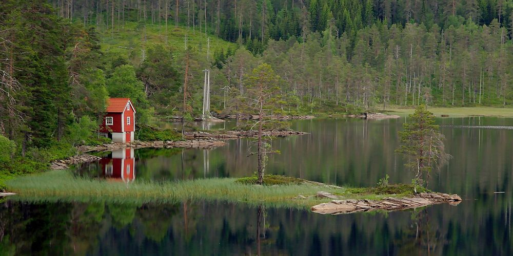 La inteligencia artificial y la evolución de las capacidades humanas